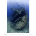 More information about "The Underwater Photographer, Martin Edge"