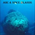 More information about "Shipwrecks of the ABC and Spice islands / dive guide (англ.яз) [PDF]"