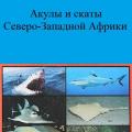 More information about "Акулы и скаты Северо-Западной Африки | Гущин А.В. | 2019"