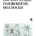 More information about "Океанические головоногие моллюски: Распространение, жизненные формы, эволюция. Несис К.Н"