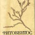 More information about "Фитобентос Черного моря. Калугина-Гутник А.А. 1975"