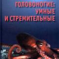 More information about "Головоногие: умные и стремительные. Несис К.Н."