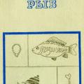 More information about "Болезни прудовых рыб | Бауер О.Н.; Мусселиус В.А.; Стрелков Ю.А. | 1969"