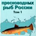 More information about "Решетников Ю.С. (ред.) Атлас пресноводных рыб России. Том 1"