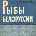 More information about "Рыбы Белоруссии - П.И. Жуков. Год выпуска: 1965"