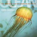 More information about "Ocean. The Worlds Last Wilderness Revealed. Robert Dinwiddie, Philip Eales, Sue Scott, Michael Scott. 2008"