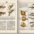 More information about "Секреты рыбной кулинарии, Ефимов А. Д., 1993 [DjVU]"