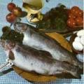More information about "Рыбные блюда, Хаавамяги Р., 1986 [PDF, DjVU]"