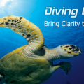More information about "Diving Log 6.0.28 Multilingual"